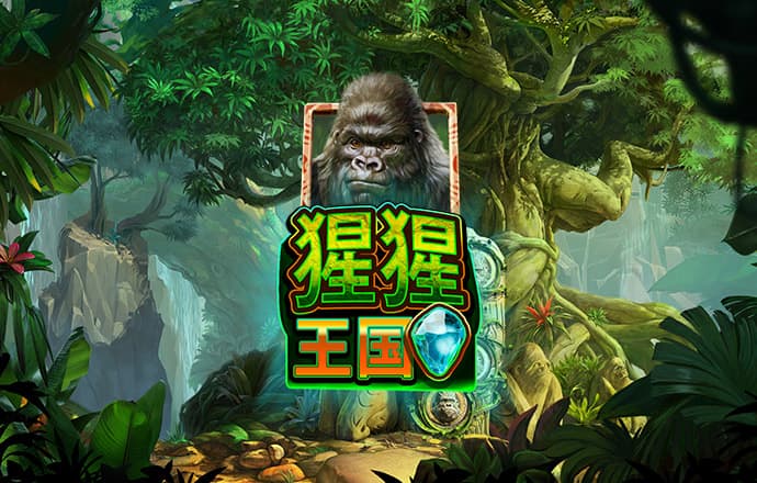 4438x全国最大